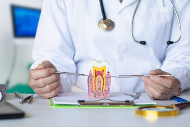 Best Root Canal Emergency Dentist  in Nixon, TX